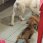 20140515_210909